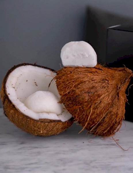 Coconut