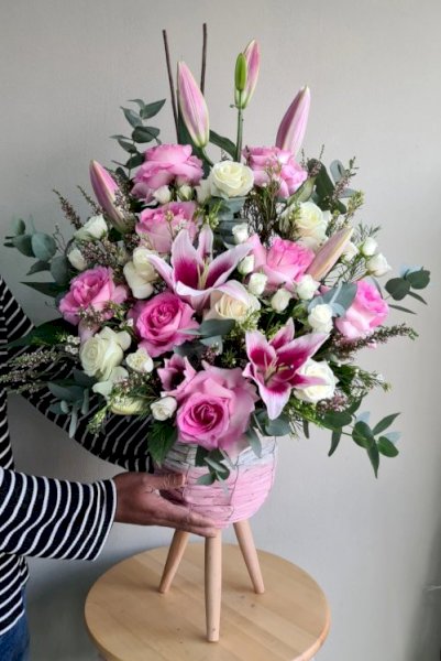Baby Pink بيبي بينك