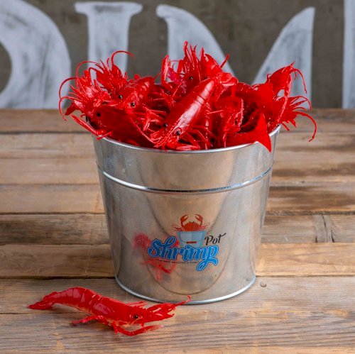 MINI LOBSTER