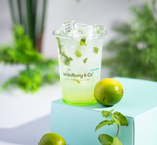 Classic Mojito