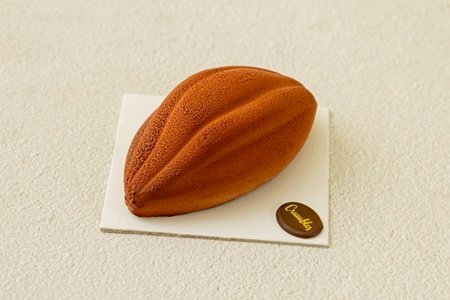 COCOA BEAN CAKE
