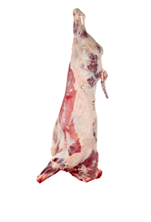 لحم عجل ذباح البحرين